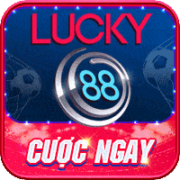 kubet19  - avatar